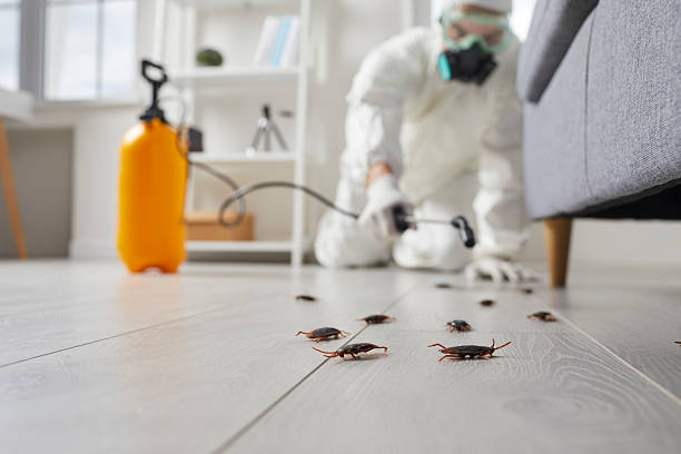 Commercial Kitchen Cockroach Control in McSherrystown